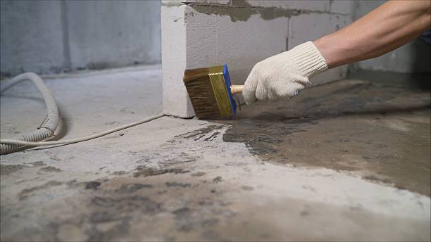 SJ Waterproofing Pros Waterproofing coverage map for Bloomingdale, MI and surrounding area